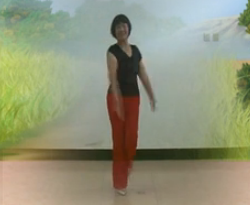 吉娜广场舞 美丽中国年广场舞视频免费