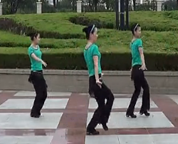 怀宁文化广场舞 一起来跳舞正面动作演示视频