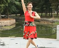 温州燕子广场舞—凤凰飞热门广场舞视频舞曲