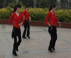 怀宁文化广场舞骑车到拉萨 广场舞歌曲视频附歌词