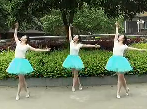 兰燕稻都广场舞春天的芭蕾正面背面含教学