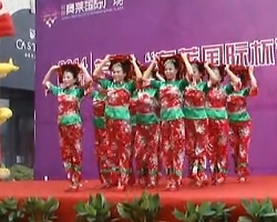 2014铜陵奥莱国际杯广场舞大赛一等奖 中国美 12人变队形