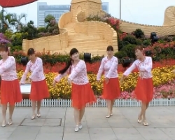 广场舞女人是世界最美丽的花 含背面演示 可爱玫瑰花广场舞