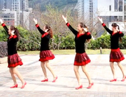 重庆叶子广场舞草原的夏天 含凤凰六哥分解教学 《草原的夏天》歌词