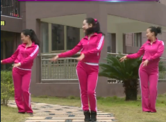 杨丽萍广场舞安吉丽娜演示教学 跳舞前的热身运动