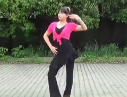 益馨广场舞幸福的猪 DJ舞曲 简单易学中老年广场健身舞