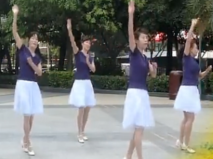 深圳山茶广场舞男人的苦女人不清楚正面背面含教学 简单易学中老年广场舞
