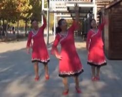 广场舞花开的时候来看我 北京望京凤凰姐妹广场舞 春英编舞原创广场舞