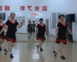 武汉市舞精灵排舞 我想 最新时尚广场舞排舞