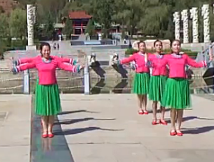 中国美广场舞变队形表演 甘肃龙泉开心广场舞中国美