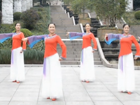 张春丽广场舞中国书法正面背面含教学 云飞《中国书法》歌词