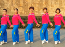 hehe+大众健身队广场舞大阪城的姑娘正面背面演示教学 步子舞