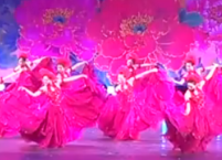 舞蹈牡丹颂 女子群舞 总政歌舞团柳州演出