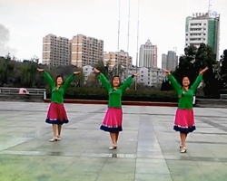 广场舞美丽的达古拉 傲然广场舞 简单超清广场舞视频
