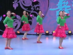 杨艺贺月秋广场舞玫瑰花正面舞蹈视频 王欢《玫瑰花》歌词