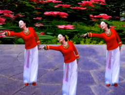 清舞广场舞花儿的美丽含教学 舞曲《我爱你，兰花》歌词