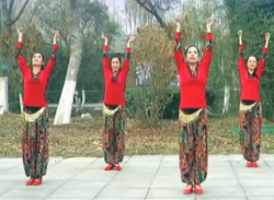 刘荣广场舞牡丹汗正面背面含教学 新疆民歌《牡丹汗》