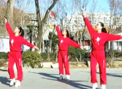 刘荣广场舞绽放的军中花正面背面含教学 雅丽《绽放的军中绿花》歌词