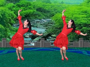 风儿广场健身舞丽都益阳 编舞廖弟 2015年最新广场舞舞蹈歌曲免费