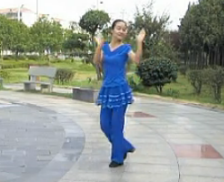 艺柳广场舞忘不了曾经的你 中老年广场舞视频