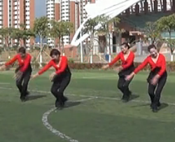乐海广场舞在那草地上 中老年广场舞视频