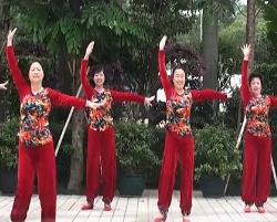 舞在深圳湾广场舞二零一舞 广场舞歌曲音乐免费