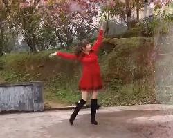 湘西田松广场舞今年最特别 中老年简单广场舞