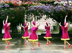 兴梅广场舞雪山姑娘 超清广场舞教学视频免费 简单好看的中老年广场舞