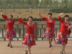 北京加州广场舞又见山里红