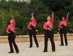 采茶舞广场舞舞蹈歌曲免费 广西南宁花卉公园广场舞