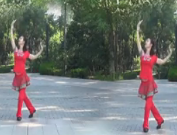 策马扬鞭广场舞正反面演示 凤之舞广场舞舞蹈歌曲免费
