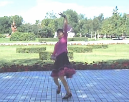 游弋广场舞酒歌唱起来 广场舞视频免费