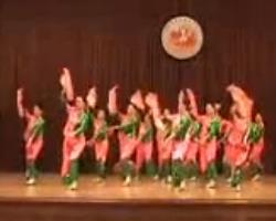 红红的日子 扇子舞舞台表演视频 中老年简单扇子舞