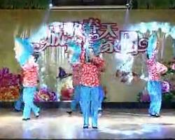 洪湖水浪打浪 超清民族舞表演视频 简单易学民族舞