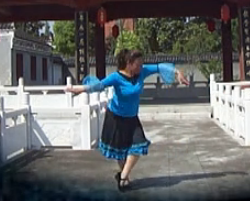 襄州红英广场舞蓝月谷 中老年广场舞视频