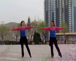 紫冰广场舞带着回忆去分手 最新时尚减肥健身广场舞 最新广场舞大全