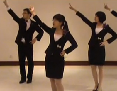 泰康人寿广场舞自由飞翔舞蹈视频 凤凰传奇《自由飞翔》歌词