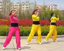 舞动旋律2007健身队求求你给点力 广场舞视频免费