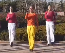 舞动旋律2007广场舞好女人 步子舞24步 中老年广场舞视频