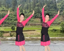 沅陵燕子广场舞我的中国梦 含背面演示 最新简单易学广场舞