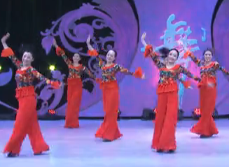 杨艺杨丽萍广场舞红红火火总是年 杨艺全民广场健身舞第十五季