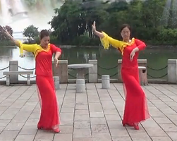 柳州幸福广场舞身披彩衣的姑娘 编舞莉莉老师 正面动作演示视频