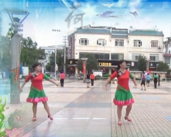 忻城甜之缘广场舞大风歌 含背面动作示范 最新广场舞大全