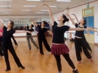 中老年拉伸形体舞《梦中的绿洲》刘萍形体东方舞梦中的绿洲教学视频