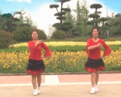 舞动中原馨蕾广场舞桃源情歌 最新简单易学广场舞 超清广场舞视频