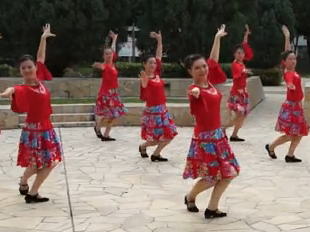 广场舞太阳花 新加坡红月亮舞蹈团演示 好看好学的中老年广场舞