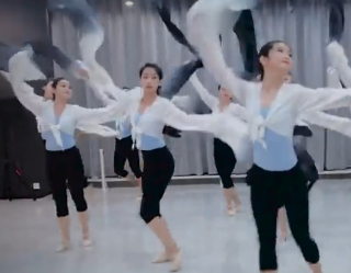 水袖舞平湖秋月 单色舞蹈 中国舞教练班学员学习展示