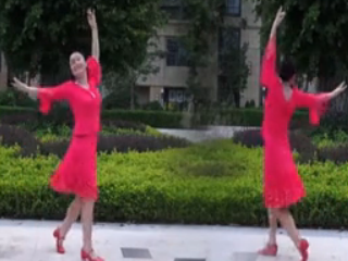 舞在深圳湾广场舞青花梦正面背面同步演示 编舞雨丝