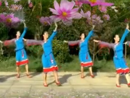 春英广场舞幸福西藏正背面及分解教学 泽旺多吉《幸福西藏》歌词