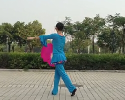 滨江广场舞珊瑚颂 背面示范 扇子舞视频音乐免费下载